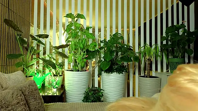 Snapshot of FlowweerGirl chatting on 15, 12, 2025 FlowweerGirl online show from 15, 12, 2025