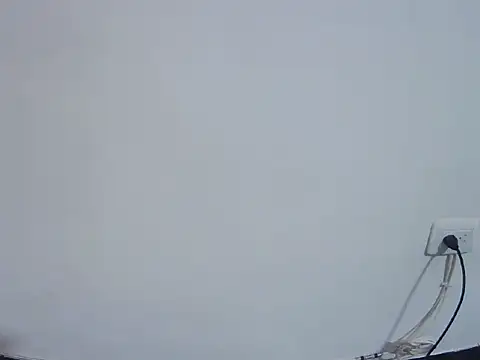 Fernanda andrew online show from 24, 2, 2026