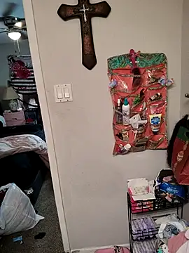 Snapshot of SpiderRose chatting on 26, 3, 2026 SpiderRose online show from 26, 3, 2026