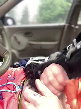 Snapshot of Ldnick69 chatting on 24, 3, 2026 Ldnick69 online show from 24, 3, 2026