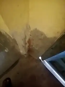 ahannaskar228 online show from 22, 12, 2025