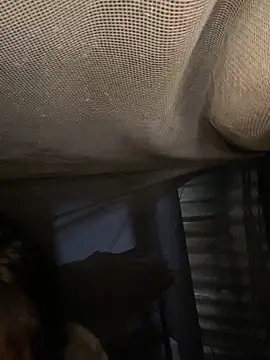 Nika-be online show from 11, 2, 2026