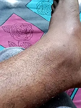 Nick universal online show from 15, 1, 2026