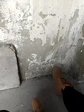 Snapshot of Mar81 chatting on 12, 2, 2026 Mar81 online show from 12, 2, 2026