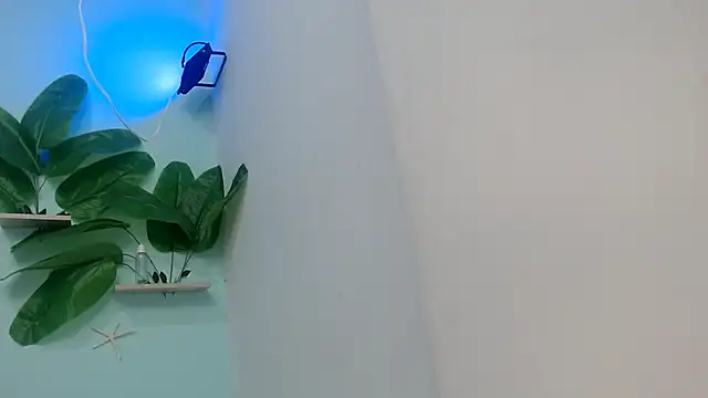 NOVAHOT98 online show from 12, 1, 2026