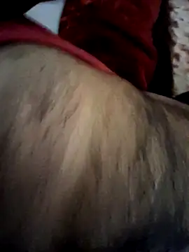 Snapshot of aman4404 chatting on 20, 2, 2026 aman4404 online show from 20, 2, 2026