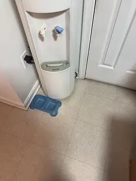 tigre6911 online show from 16, 12, 2025