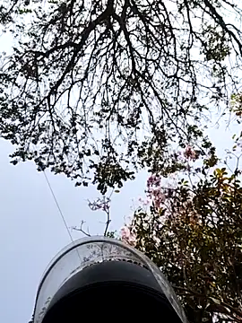 bnglrboy0886 online show from 7, 3, 2026