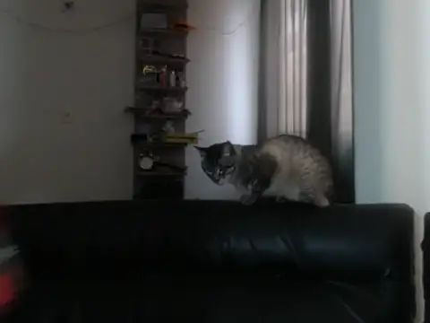 BeautyYoungblond online show from 3, 2, 2026