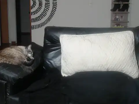 BeautyYoungblond online show from 14, 3, 2026