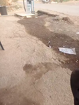 punecouplegroup online show from 25, 4, 2026