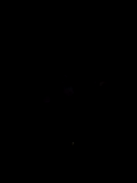 nimmi188 online show from 10, 3, 2026