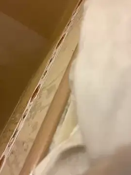 baby young online show from 6, 3, 2026