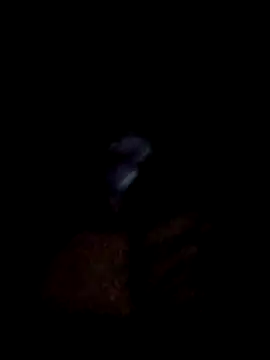 yourwellman online show from 5, 3, 2026