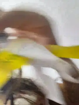 Snapshot of jinx_candy chatting on 1, 2, 2026 jinx candy online show from 1, 2, 2026