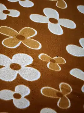 sweety 1433 online show from 7, 1, 2026