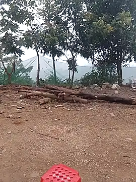 Menlike69 online show from 15, 1, 2026