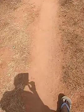 Tamilpaiyan07 online show from 16, 2, 2026