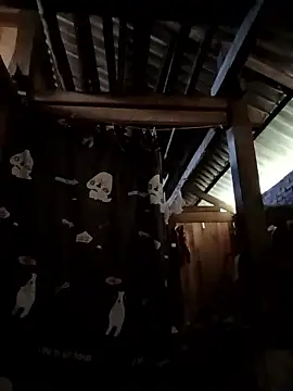 Money moneylove online show from 23, 12, 2025