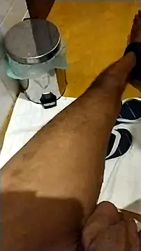 Novinhoie online show from 17, 2, 2026