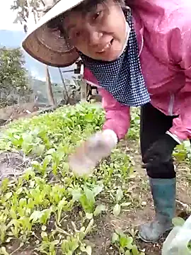 galaxy898 online show from 2, 2, 2026