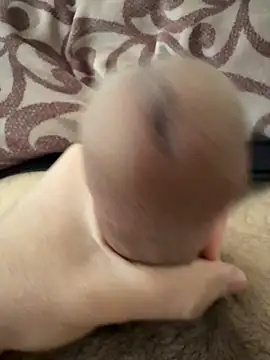 Snapshot of beastcumm chatting on 5, 4, 2026 beastcumm online show from 5, 4, 2026