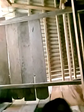 DIANAKUTE online show from 8, 3, 2026