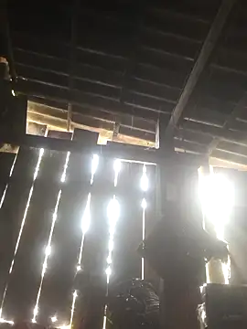 dakota-kis online show from 6, 4, 2026