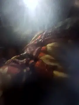 Snapshot of Couples9090 chatting on 10, 1, 2026 Couples9090 online show from 10, 1, 2026