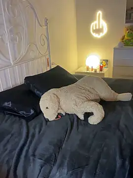 Tahero 98 online show from 27, 2, 2026