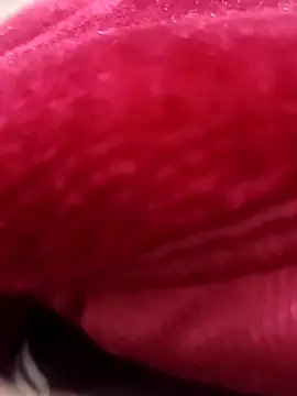 daksh  8 inche online show from 7, 2, 2026