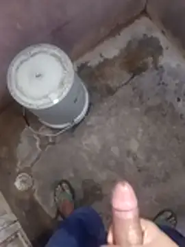 daksh  8 inche online show from 8, 4, 2026