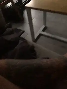 Snapshot of psilocibina22 chatting on 20, 2, 2026 psilocibina22 online show from 20, 2, 2026