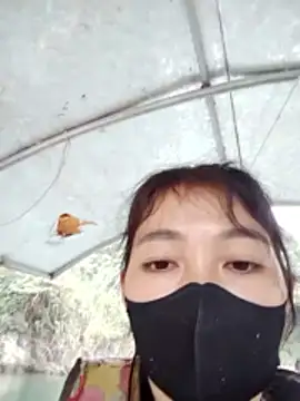 Asami 6868 online show from 18, 1, 2026