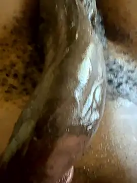 BlackCurvedDick online show from 10, 1, 2026