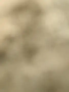 Pagelboy 089 online show from 15, 2, 2026