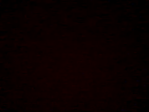 Snapshot of _Daisy chatting on 5, 4, 2026 Daisy online show from 5, 4, 2026