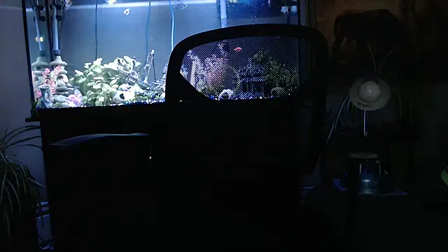 EspanolVato online show from 26, 3, 2026