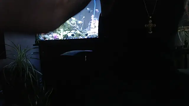 EspanolVato online show from 2, 4, 2026