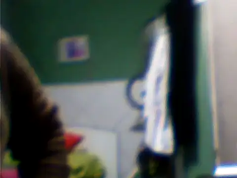 Snapshot of ger211 chatting on 12, 7, 2026 ger211 online show from 12, 7, 2026