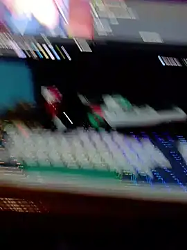 Snapshot of Haplis chatting on 20, 3, 2026 Haplis online show from 20, 3, 2026