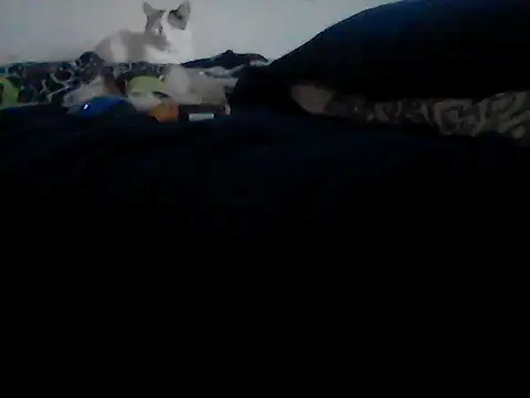 Silencio26 online show from 24, 2, 2026