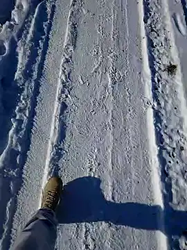 Erz84 online show from 19, 2, 2025