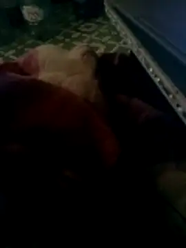 thich lo online show from 15, 3, 2026