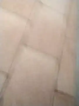 Snapshot of pikademel018 chatting on 28, 2, 2026 pikademel018 online show from 28, 2, 2026