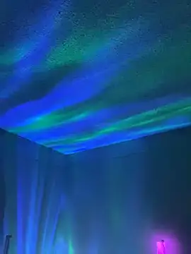 wolfbucker online show from 2, 4, 2026