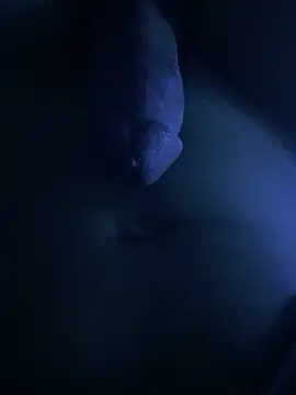 fofi77 online show from 17, 4, 2026