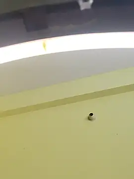 trinasa online show from 9, 1, 2026