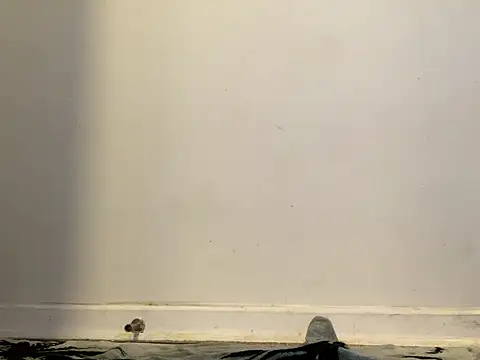 Snapshot of AnnoyedAnnual chatting on 15, 1, 2026 AnnoyedAnnual online show from 15, 1, 2026