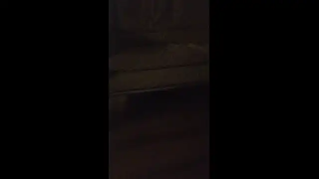 dongoralesko77 online show from 11, 4, 2026